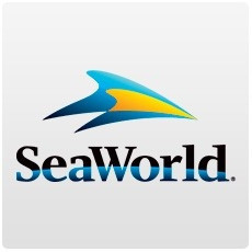 Seaword - All-Day Dining (Plano de Refeições) 